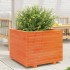 Jardinera madera maciza de pino marrón cera 60x60x49,5