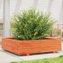 Jardinera de madera maciza de pino marrón cera 90x90x26,5