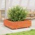 Jardinera de madera maciza de pino marrón cera 90x90x26,5