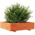 Jardinera de madera maciza de pino marrón cera 90x90x26,5