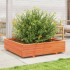 Jardinera de madera maciza de pino marrón cera 100x100x26,5