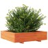 Jardinera de madera maciza de pino marrón cera 100x100x26,5