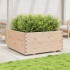Jardinera madera maciza de pino 100x100x49,5