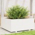 Jardinera madera maciza de pino blanco 110x110x49,5