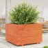 Jardinera madera maciza de pino marrón cera 70x70x49,5