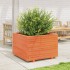 Jardinera madera maciza de pino marrón cera 70x70x49,5