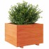Jardinera madera maciza de pino marrón cera 70x70x49,5