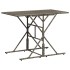 Set comedor jardín 7 pzas y cojines ratán sintético