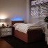Cama box spring con colchón terciopelo rosa 80x200