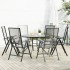 Set de sillas jardín reclinables 7 piezas acero