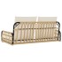 Silla columpio con cojines ratán sintético y acero 105x58x38