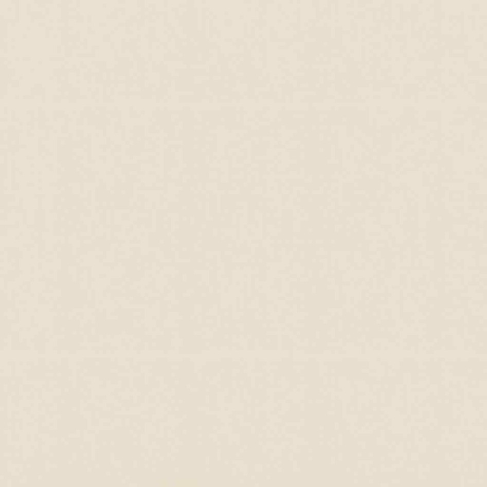 Set muebles de jardín 5 piezas y cojines ratán sintético