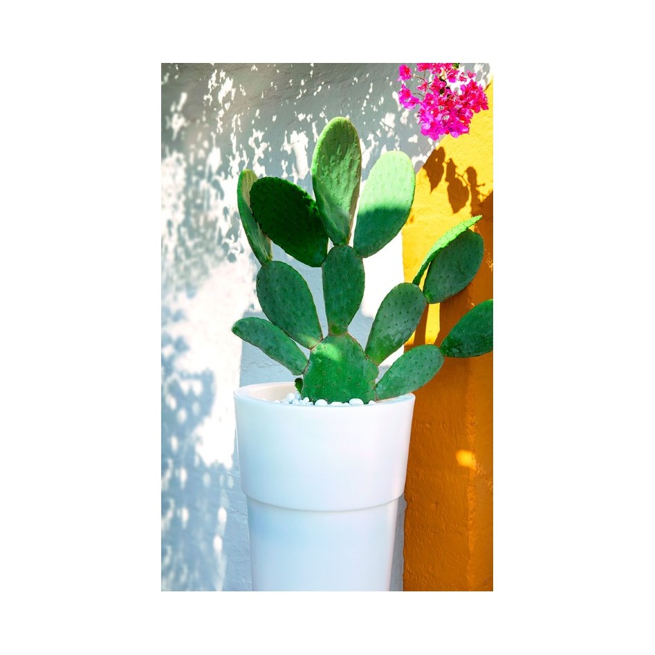 Macetero alto iluminado