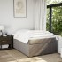 Cama box spring con colchón tela gris taupe 120x200