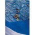 Cubierta isotérmica piscinas redondas de Ø300