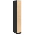 Armario de madera de ingeniería negro 30x50x200