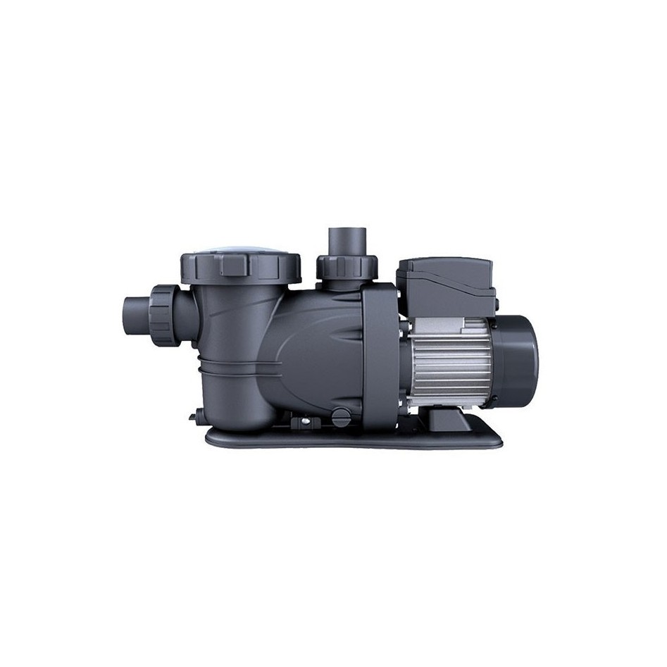 Bomba autoaspirante 2 CV