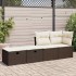 Set sofás jardín y cojines 2 pzas ratán sintético acacia