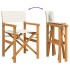 Silla de director plegable madera maciza de teca