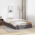 Estructura de cama otomana sin colchón gris 120x200