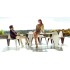 Silla apilable  by Vondom