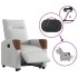 Sillón eléctrico reclinable elevable de tela gris