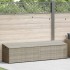 Caja almacenaje jardín ratán sintético gris claro 220x50x58