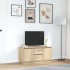 Mueble de TV con luces LED roble Sonoma 100x41x50