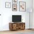 Mueble de TV con luces LED roble ahumado 100x41x50