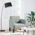 Sillón con reposabrazos Terciopelo Gris Claro 54
