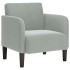 Sillón con reposabrazos Terciopelo Gris Claro 54