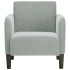 Sillón con reposabrazos Terciopelo Gris Claro 54