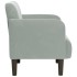 Sillón con reposabrazos Terciopelo Gris Claro 54