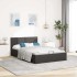 Cama canapé hidráulica de almacenaje sin colchón gris