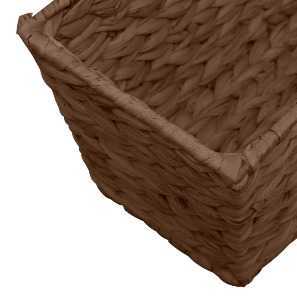 Jardineras 2 unidades jacinto de agua