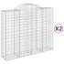 Cestas de gaviones 2 uds forma de arco hierro 200x50x160/180