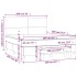 Cama box spring con colchón terciopelo gris oscuro 160x200