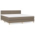 Cama box spring con colchón tela gris taupe 160x200