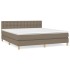 Cama box spring con colchón tela gris taupe 160x200