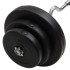 Mancuerna curl con discos 60