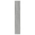 Mueble zapatero y espejo 3 niveles gris Sonoma 63x17x102,5