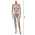 Maniquí de mujer sin