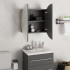Armario de baño con espejo redondo y LED gris 47x47x17,5