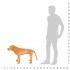 Perro labrador de peluche de pie marrón claro