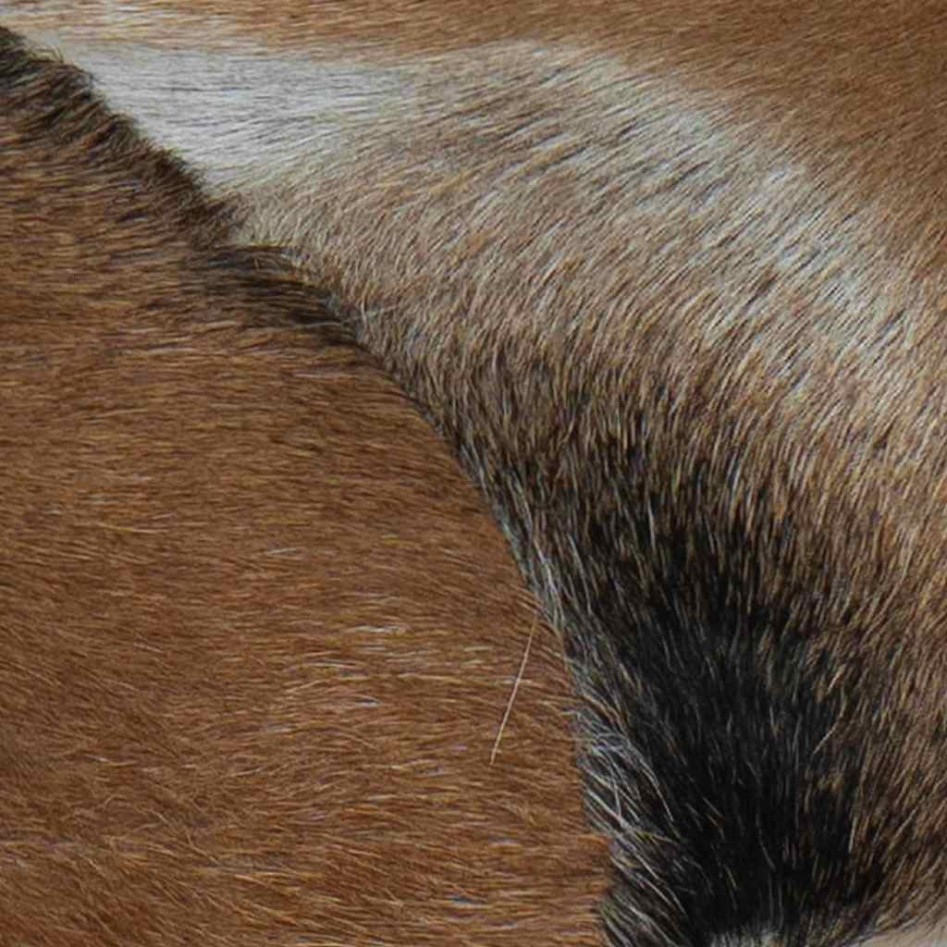 Banco de madera de teca con cuero