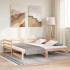 Sofá cama extraíble sin colchón 80x200