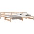 Sofá cama extraíble sin colchón 80x200