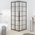 Cabina de ducha ESG esmerilado negro 80x80x180