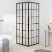 Cabina de ducha ESG esmerilado negro 80x80x180 cm