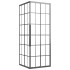 Cabina de ducha ESG esmerilado negro 80x80x180